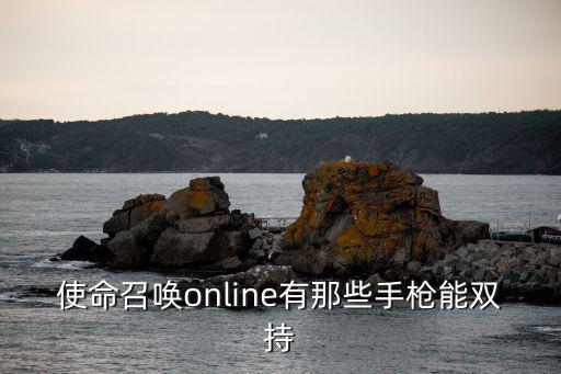 使命召唤online有那些手枪能双持