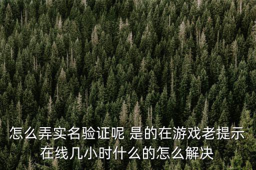 怎么弄实名验证呢 是的在游戏老提示在线几小时什么的怎么解决