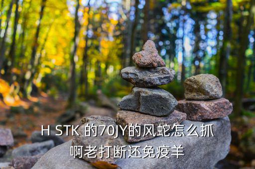 H STK 的70JY的风蛇怎么抓啊老打断还免疫羊