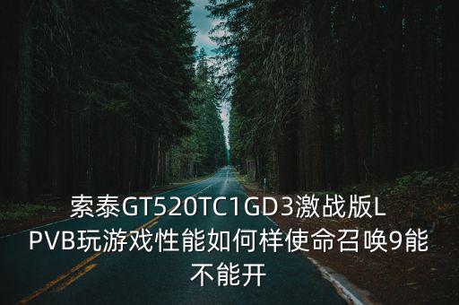 索泰GT520TC1GD3激战版LPVB玩游戏性能如何样使命召唤9能不能开