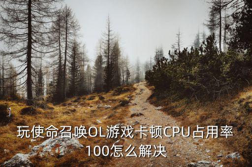 玩使命召唤OL游戏卡顿CPU占用率100怎么解决