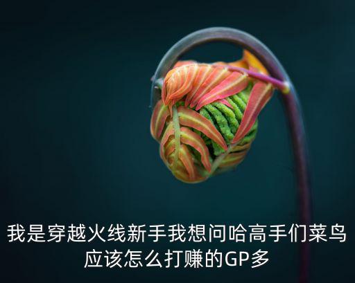 我是穿越火线新手我想问哈高手们菜鸟应该怎么打赚的GP多