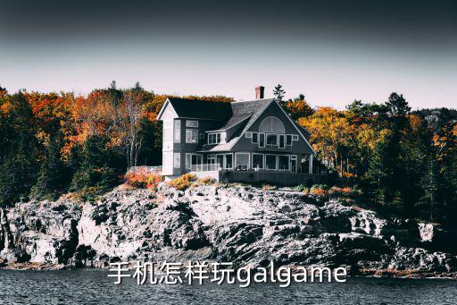 手机怎样玩galgame