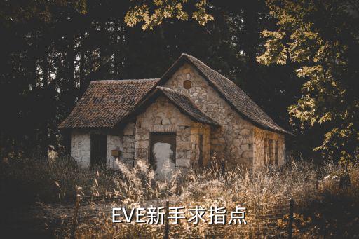 eve手游怎么创联盟，eve 不同的种族可以组成同一个团队甚至是一个军团吗