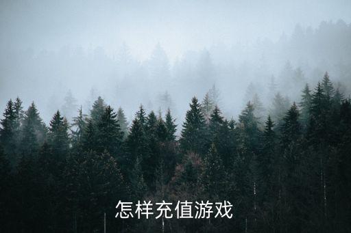 怎样充值游戏