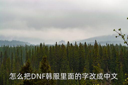 怎么把DNF韩服里面的字改成中文