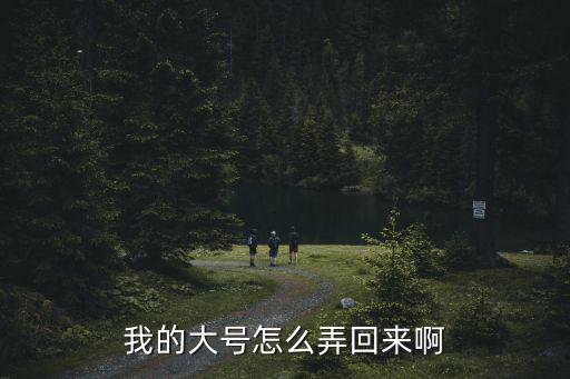 我的大号怎么弄回来啊