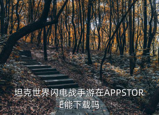 坦克世界闪电战手游在APPSTORE能下载吗