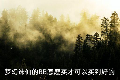 梦幻诛仙的BB怎麽买才可以买到好的