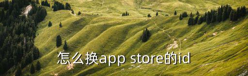 怎么换app store的id