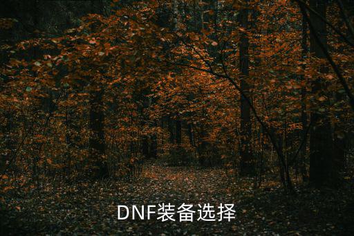 DNF装备选择