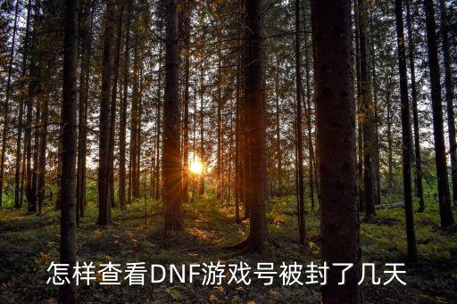 怎样查看DNF游戏号被封了几天