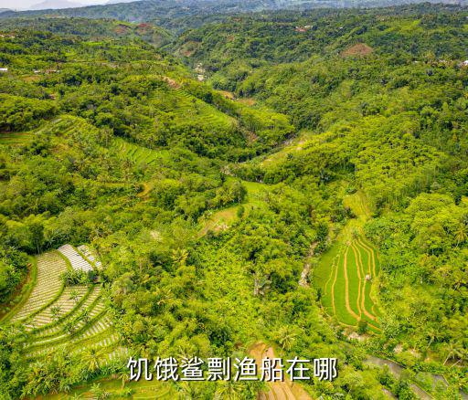 饥饿鲨剽渔船在哪