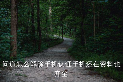 问道手游月道跨服怎么退出，问道怎么解除手机认证手机还在资料也齐全