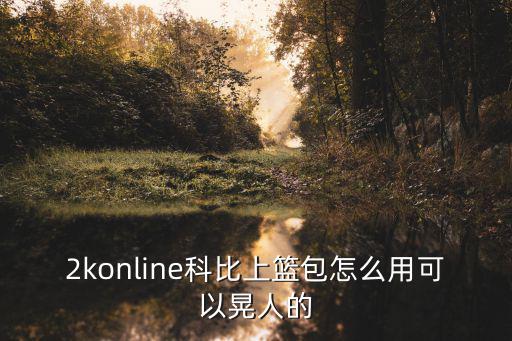 2konline科比上篮包怎么用可以晃人的