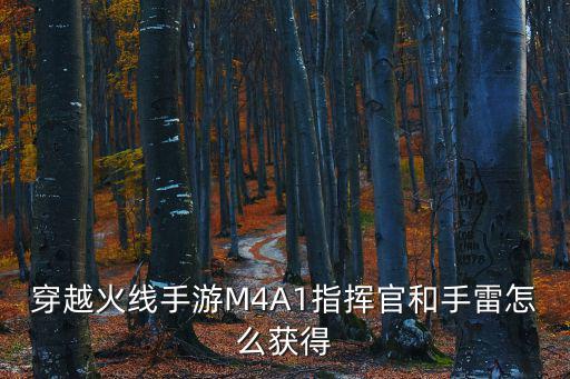 穿越火线手游M4A1指挥官和手雷怎么获得