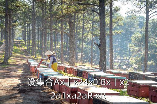 设集合Ax丨x24x0 Bx丨x22a1xa2aR xR