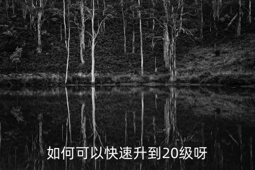 如何可以快速升到20级呀