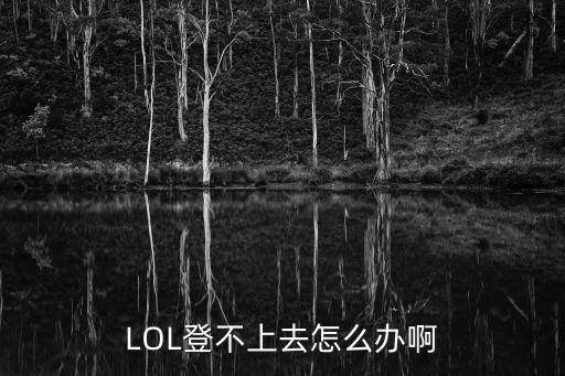 LOL登不上去怎么办啊