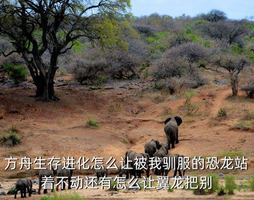 方舟生存进化怎么让被我驯服的恐龙站着不动还有怎么让翼龙把别