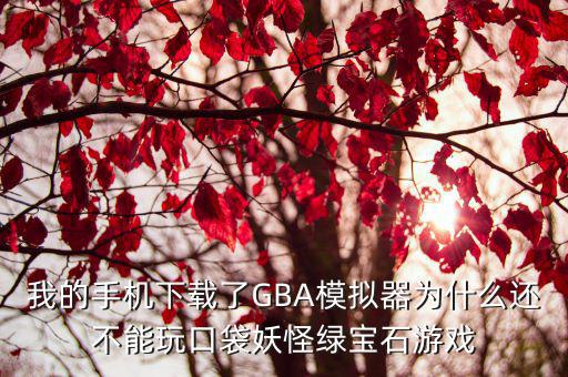 我的手机下载了GBA模拟器为什么还不能玩口袋妖怪绿宝石游戏