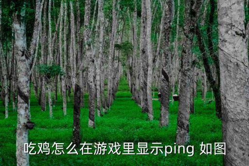 吃鸡怎么在游戏里显示ping 如图