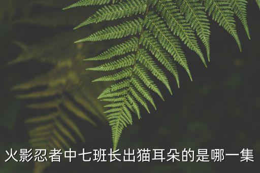 火影忍者中七班长出猫耳朵的是哪一集