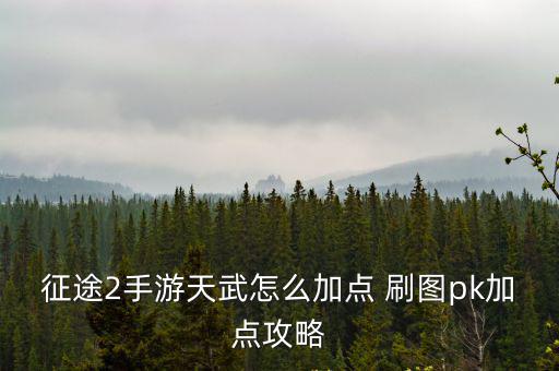 手游征途2天武怎么玩，征途2手游天武属性加点 天武属性点怎么加