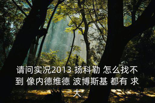 请问实况2013 扬科勒 怎么找不到 像内德维德 波博斯基 都有 求大