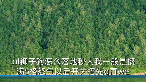 lol狮子狗怎么落地秒人我一般是攒满5格怒气以后开大招先q再we