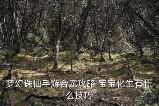 梦幻诛仙手游合宠攻略 宝宝化生有什么技巧