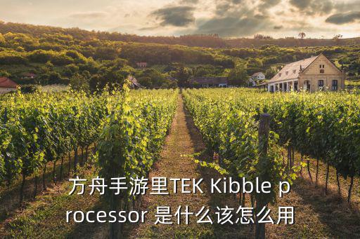 方舟手游里TEK Kibble processor 是什么该怎么用