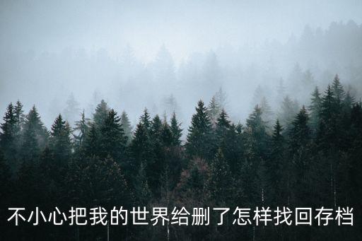 不小心把我的世界给删了怎样找回存档