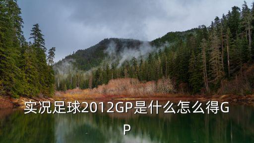 实况足球2012GP是什么怎么得GP