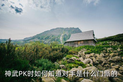 神武PK时如何知道对手是什么门派的