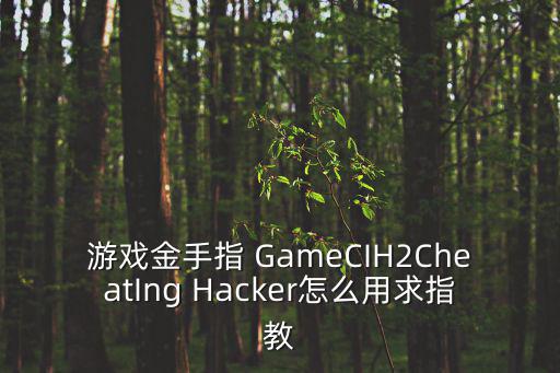 游戏金手指 GameCIH2CheatIng Hacker怎么用求指教