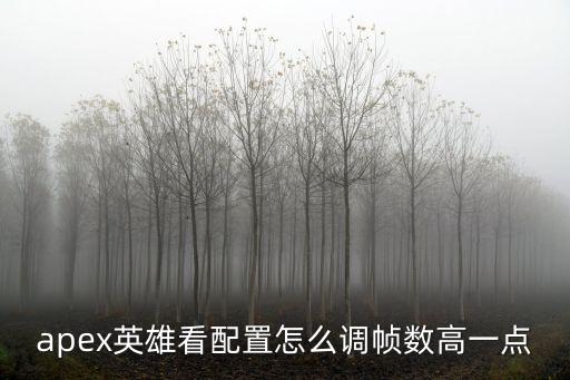 手游apex英雄画质怎么调流畅，apex英雄看配置怎么调帧数高一点