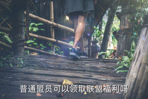 普通盟员可以领取联盟福利吗