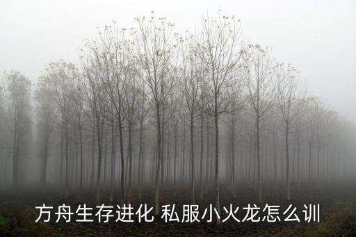 方舟生存进化 私服小火龙怎么训