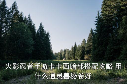 火影忍者手游卡卡西暗部搭配攻略 用什么通灵兽秘卷好