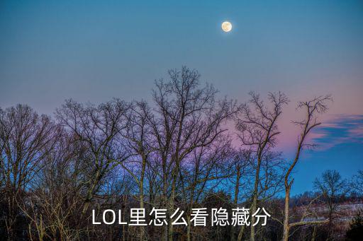 lol手游战绩隐藏怎么查询，LOL战队隐藏分怎么查询