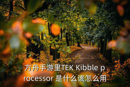 方舟手游里TEK Kibble processor 是什么该怎么用