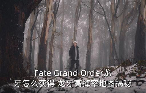 Fate Grand Order龙牙怎么获得 龙牙高掉率地图揭秘