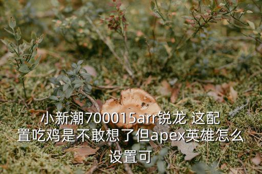 小新潮700015arr锐龙 这配置吃鸡是不敢想了但apex英雄怎么设置可