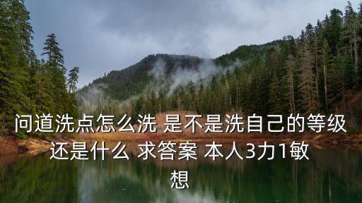 问道洗点怎么洗 是不是洗自己的等级 还是什么 求答案 本人3力1敏 想