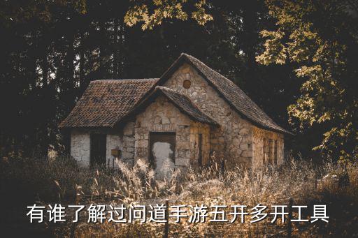 问道手游怎么五开搬砖，问道手游想要五开很