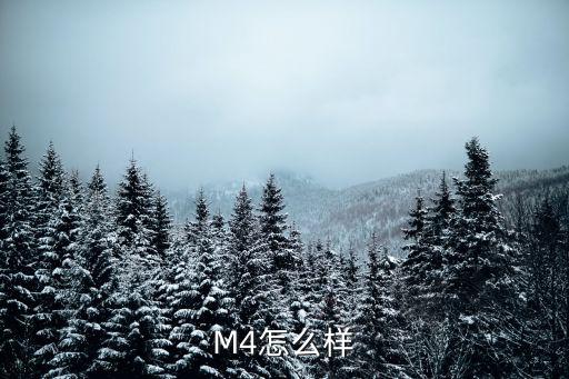 M4怎么样