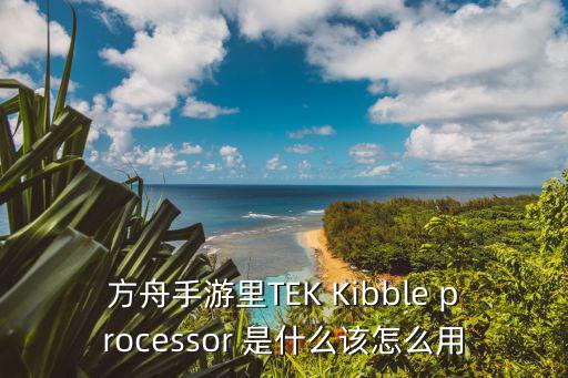 方舟手游里TEK Kibble processor 是什么该怎么用