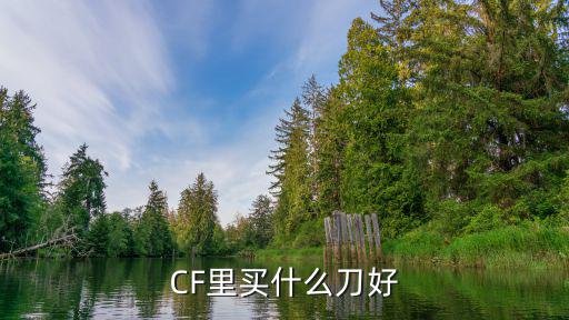 CF里买什么刀好