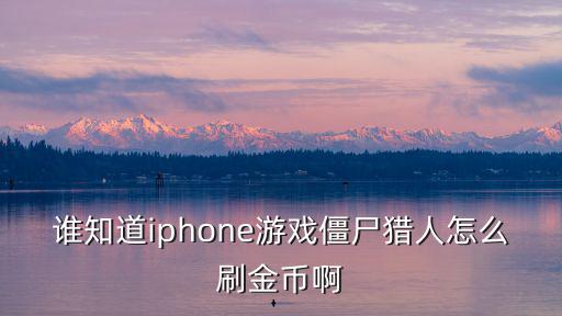 谁知道iphone游戏僵尸猎人怎么刷金币啊